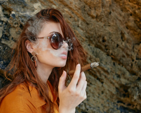 Spring Cigars, Mild Cigar Review